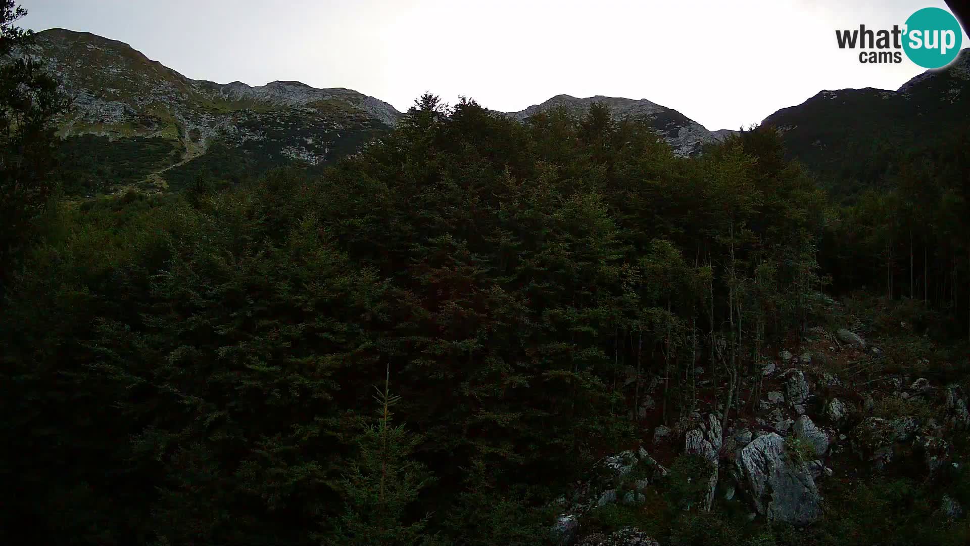 Cámara web PLANINA RAZOR (1315) | vista a Vogel y Globoko