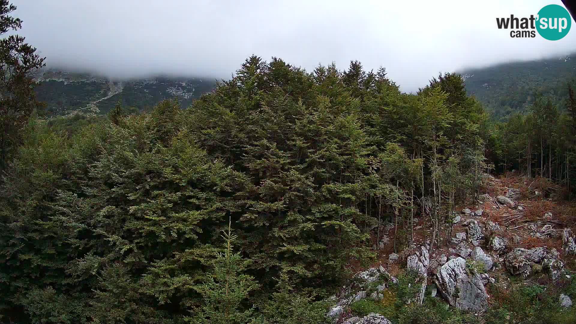 PLANINA RAZOR Live Cam (1315) | vista su Vogel e Globoko