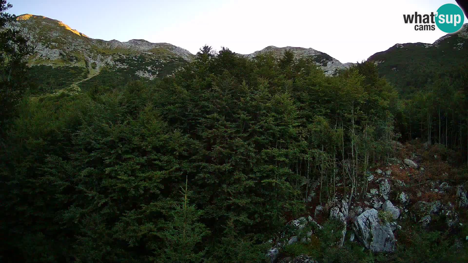 Livecam PLANINA RAZOR (1315) | vue sur Vogel et Globoko