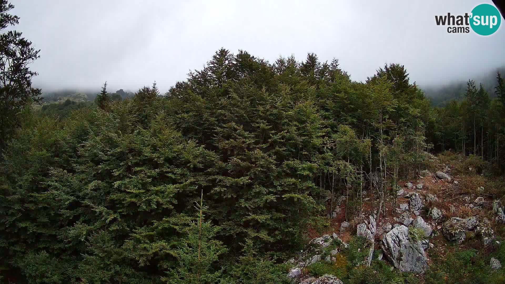 PLANINA RAZOR webcam (1315) | view to Vogel and Globoko