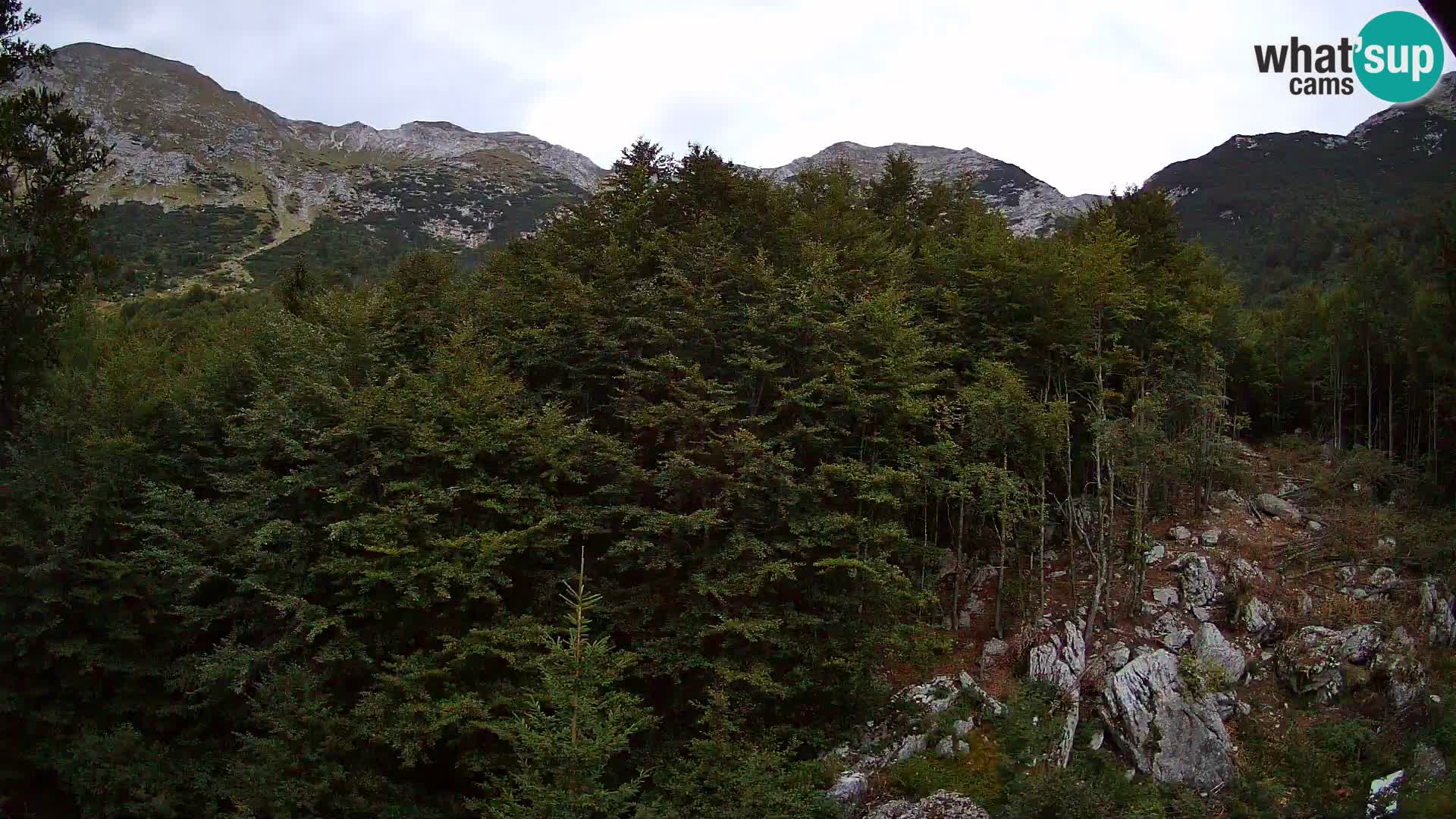 Webcam PLANINA RAZOR (1315) | Blick auf Vogel und Globoko