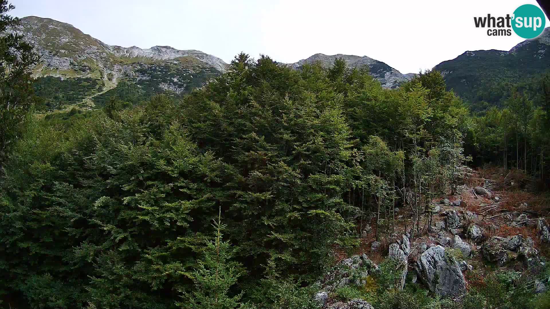 PLANINA RAZOR kamera (1315) | pogled na Vogel in Globoko
