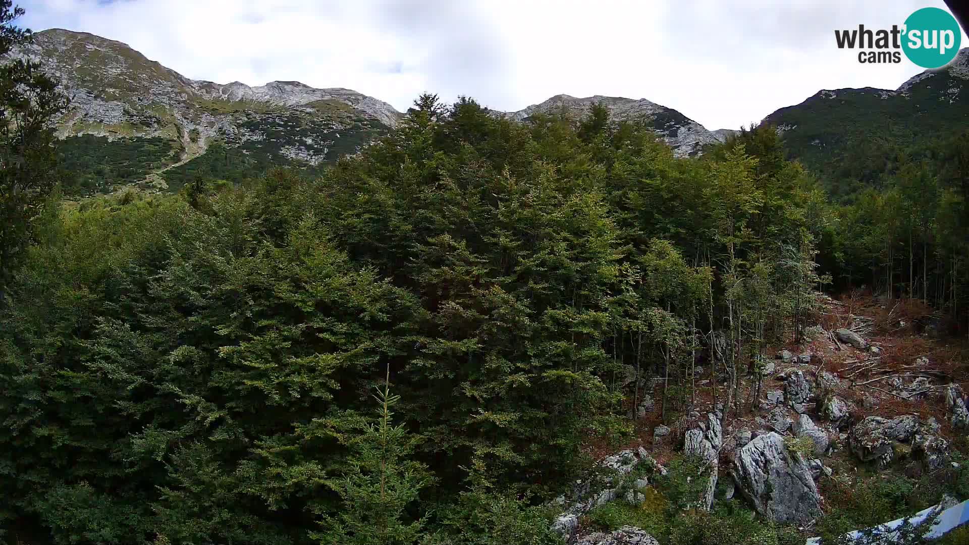 Livecam PLANINA RAZOR (1315) | vue sur Vogel et Globoko