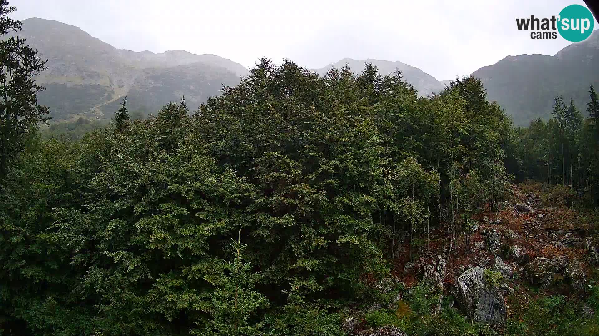 PLANINA RAZOR webcam (1315) | view to Vogel and Globoko