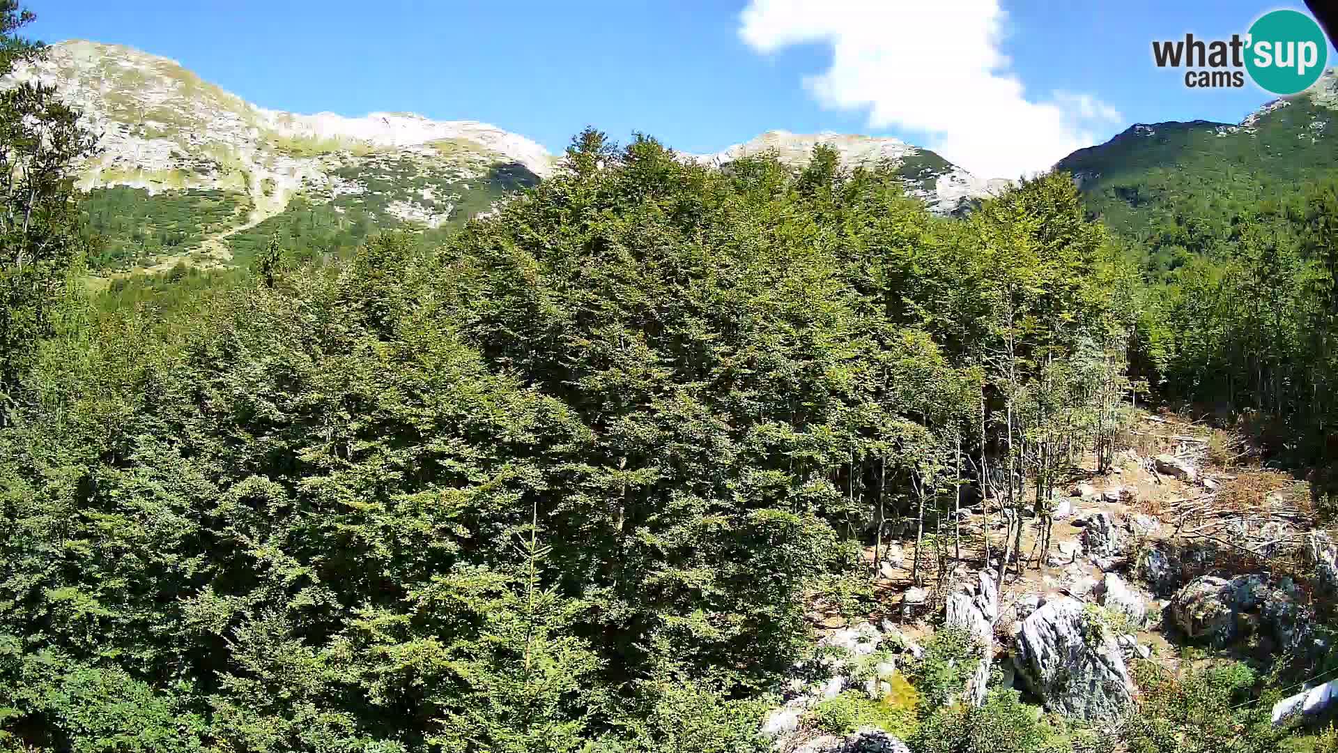 PLANINA RAZOR web kamera (1315) | pogled na Vogel i Globoko