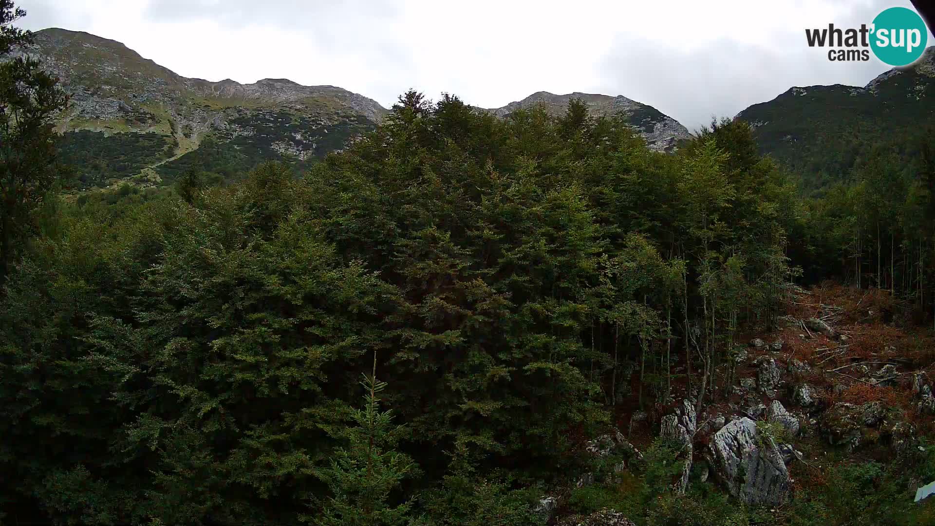 PLANINA RAZOR web kamera (1315) | pogled na Vogel i Globoko