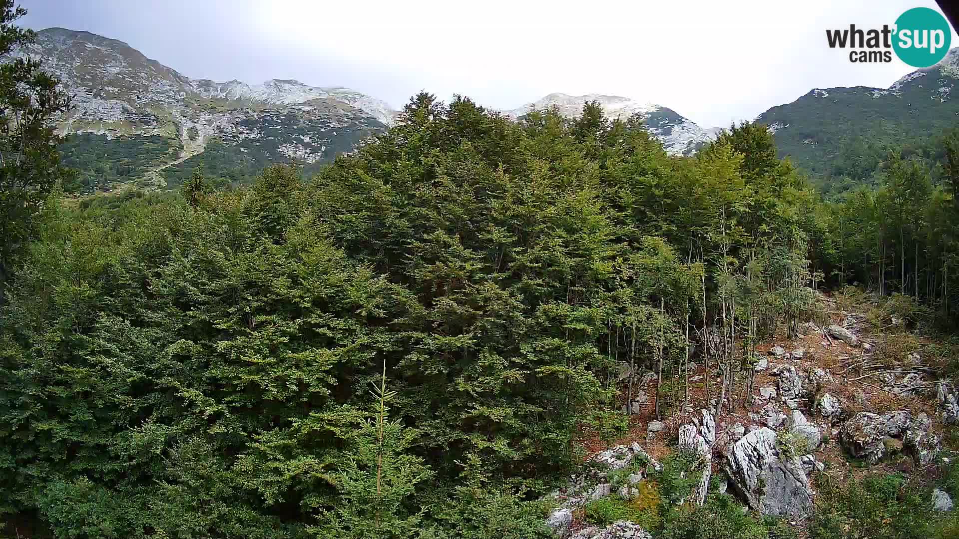 Livecam PLANINA RAZOR (1315) | vue sur Vogel et Globoko