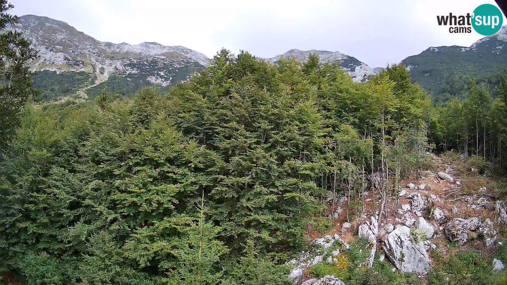 PLANINA RAZOR Live Cam (1315) | vista su Vogel e Globoko