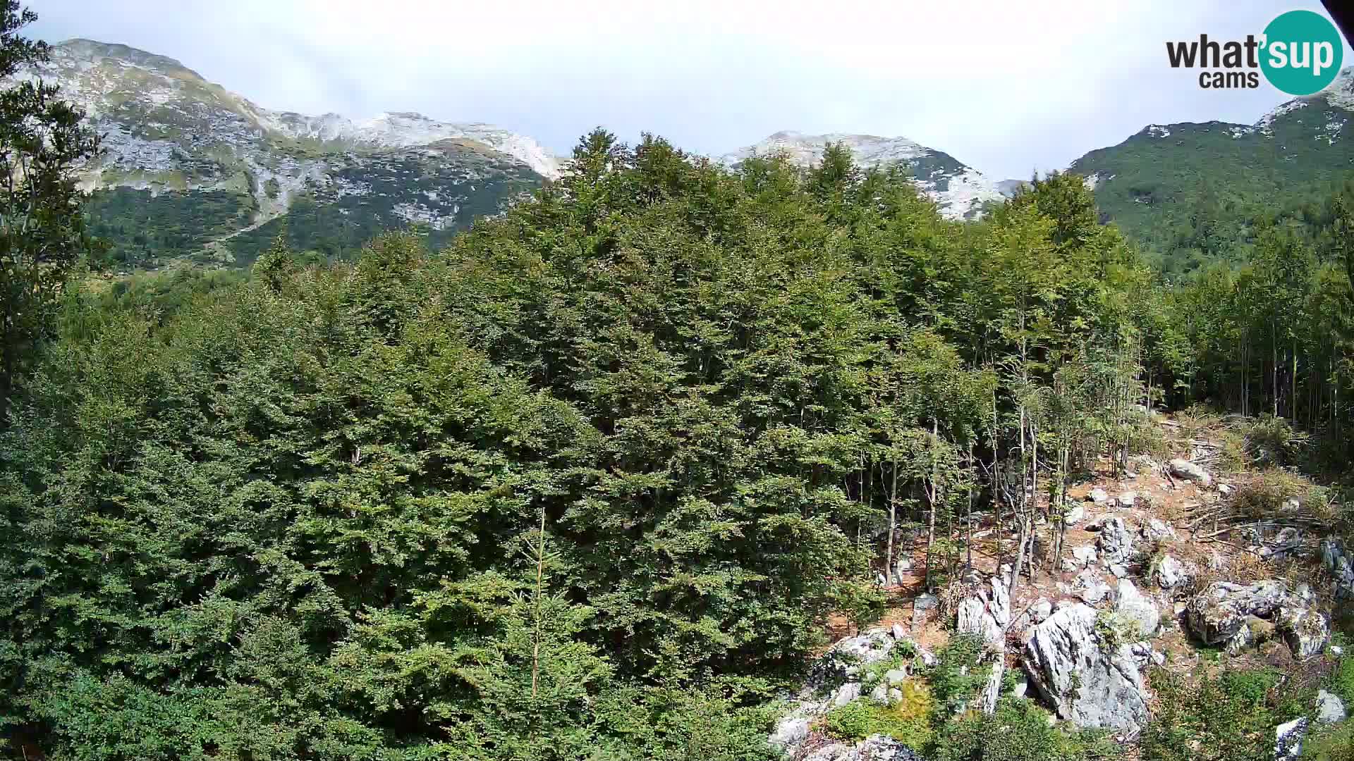 Webcam PLANINA RAZOR (1315) | Blick auf Vogel und Globoko
