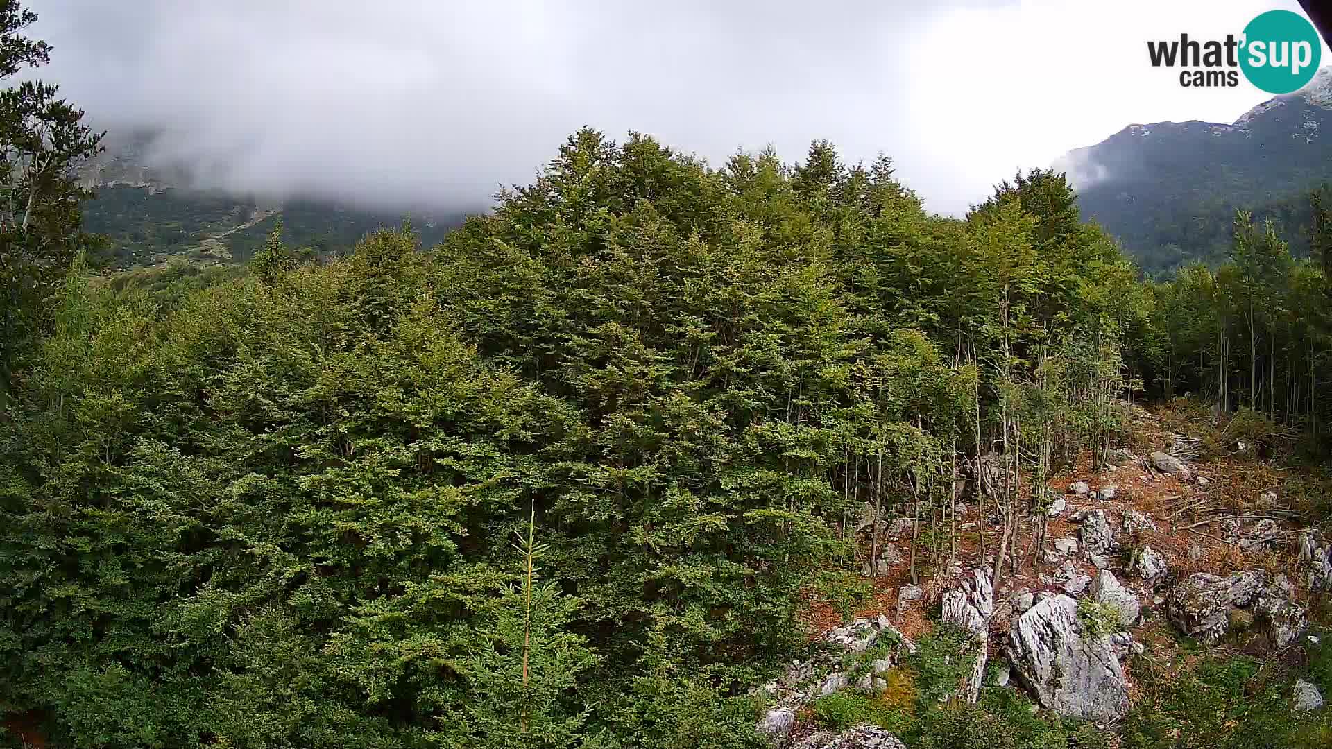 Livecam PLANINA RAZOR (1315) | vue sur Vogel et Globoko