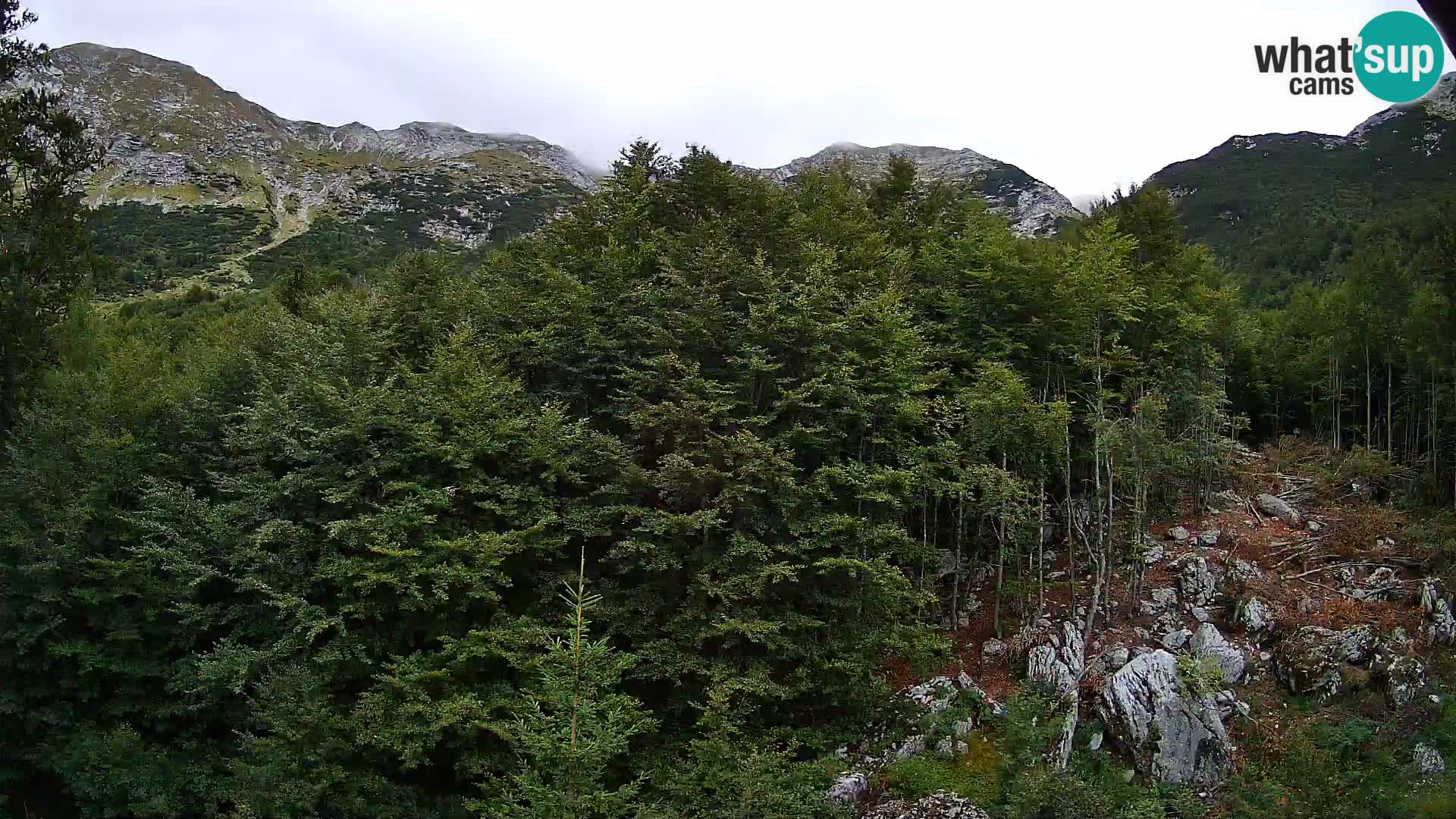 Webcam PLANINA RAZOR (1315) | Blick auf Vogel und Globoko
