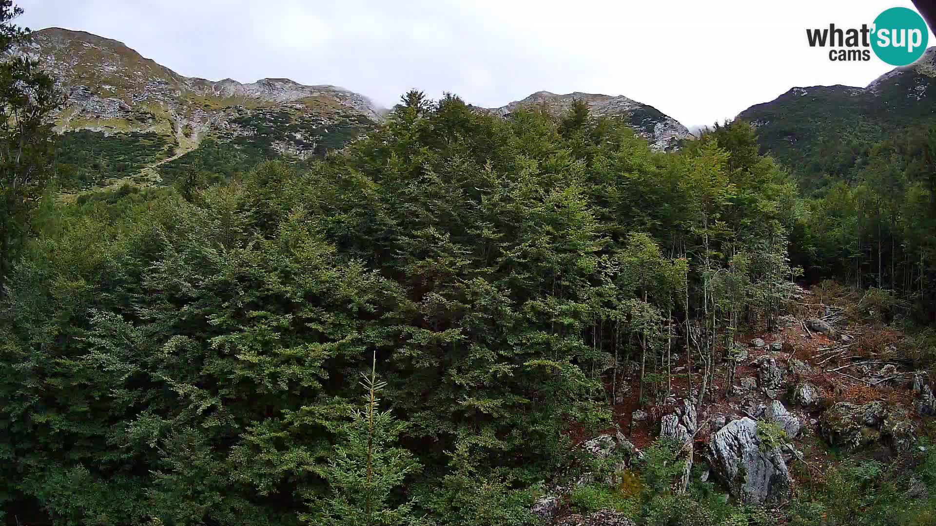 Cámara web PLANINA RAZOR (1315) | vista a Vogel y Globoko