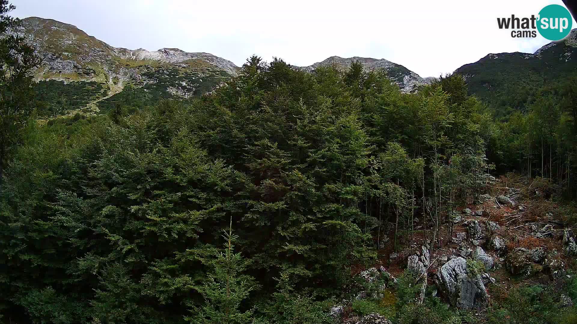 Webcam PLANINA RAZOR (1315) | Blick auf Vogel und Globoko