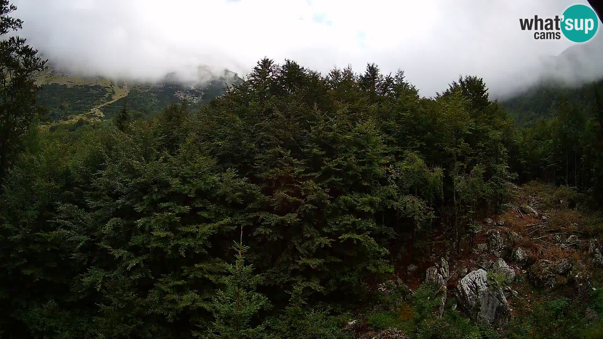 PLANINA RAZOR webcam (1315) | view to Vogel and Globoko