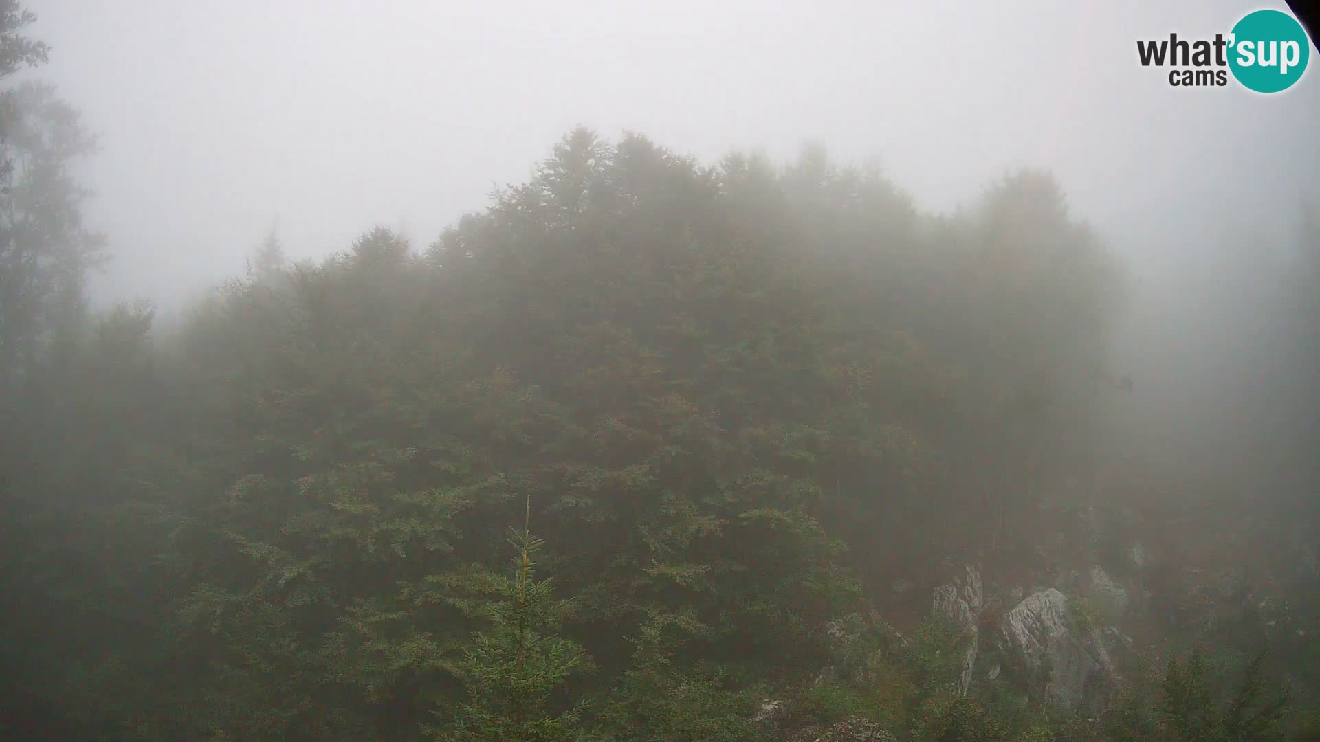 Webcam PLANINA RAZOR (1315) | Blick auf Vogel und Globoko