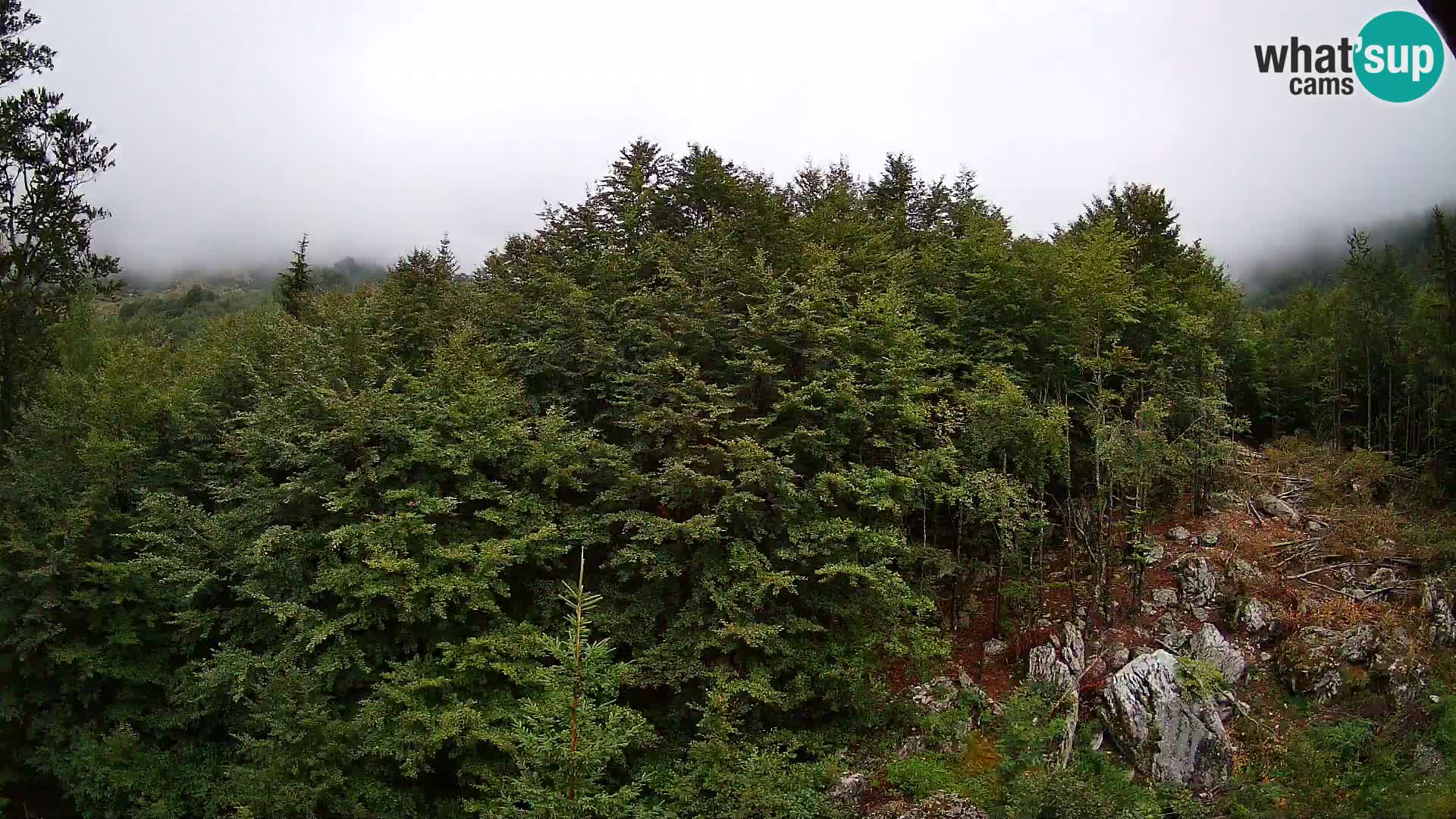 PLANINA RAZOR webcam (1315) | view to Vogel and Globoko