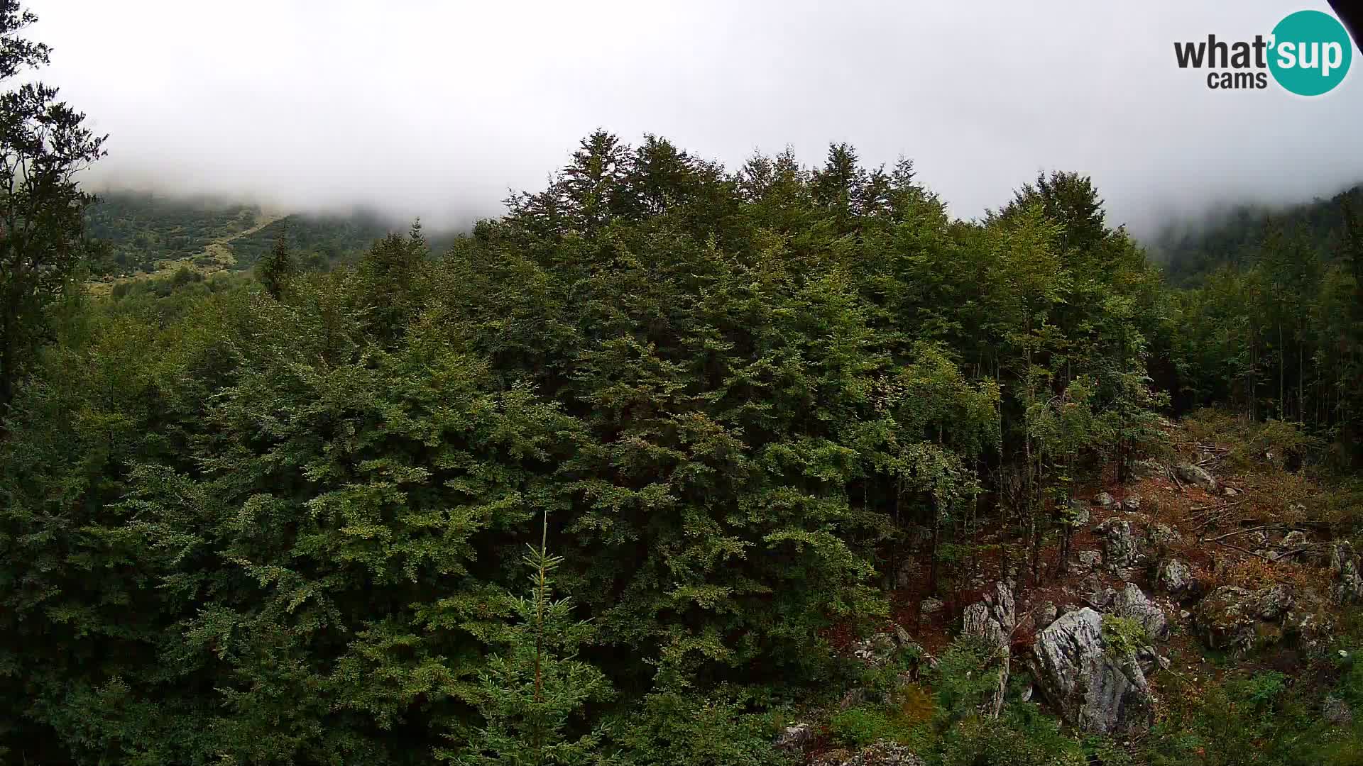 PLANINA RAZOR Live Cam (1315) | vista su Vogel e Globoko