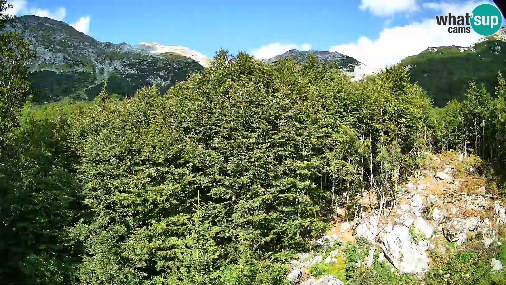 Livecam PLANINA RAZOR (1315) | vue sur Vogel et Globoko