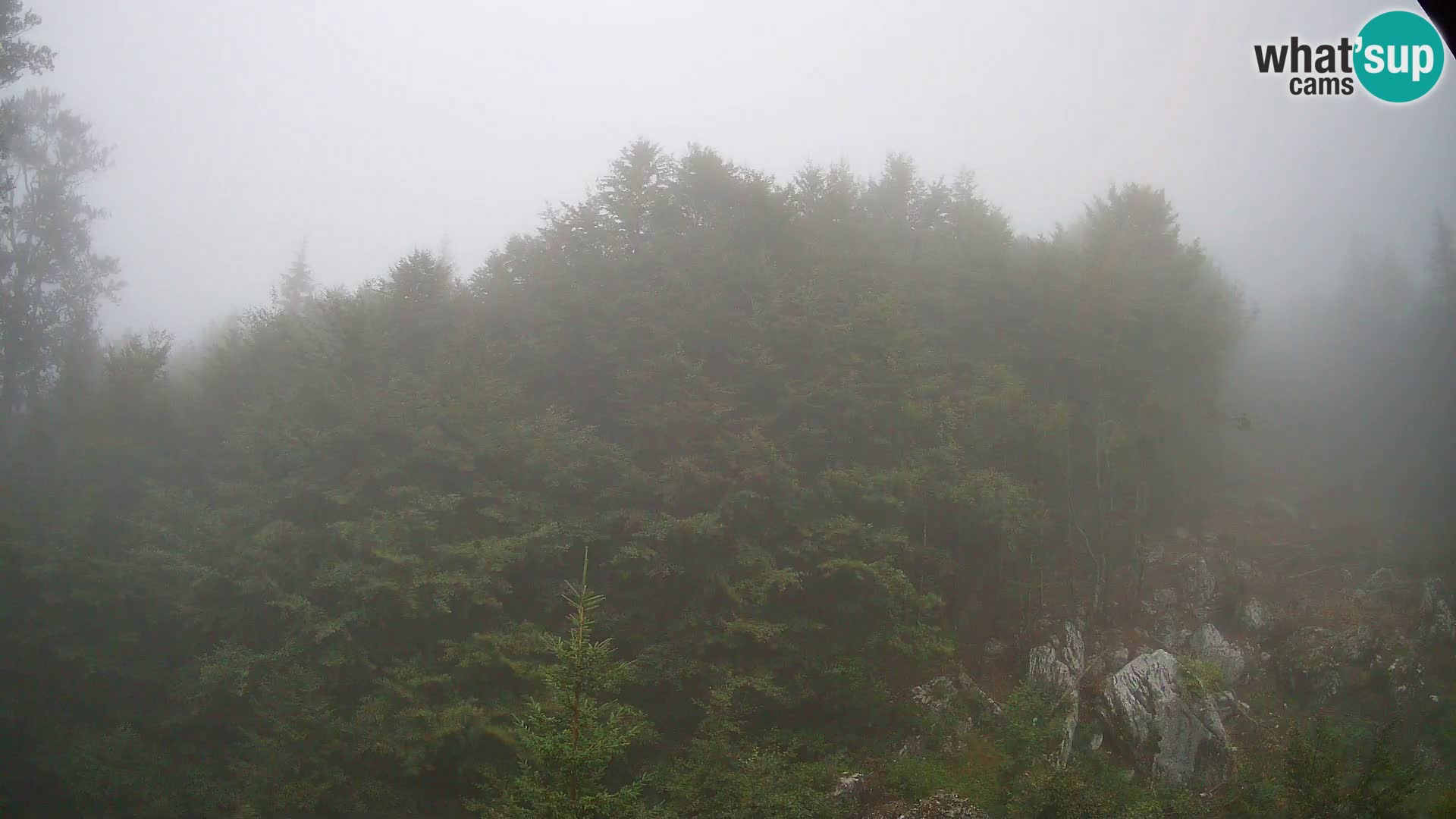 Cámara web PLANINA RAZOR (1315) | vista a Vogel y Globoko
