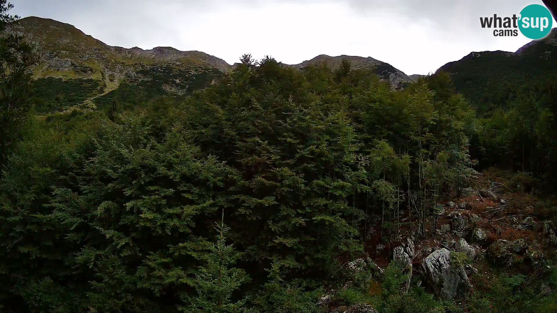 PLANINA RAZOR Live Cam (1315) | vista su Vogel e Globoko