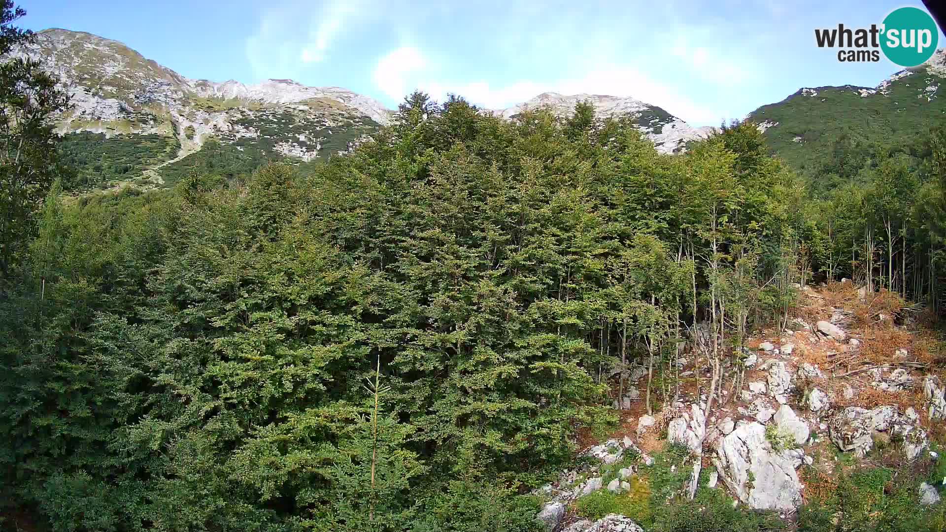 PLANINA RAZOR Live Cam (1315) | vista su Vogel e Globoko