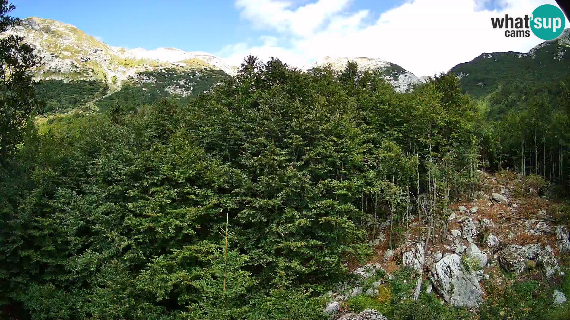 Webcam PLANINA RAZOR (1315) | Blick auf Vogel und Globoko