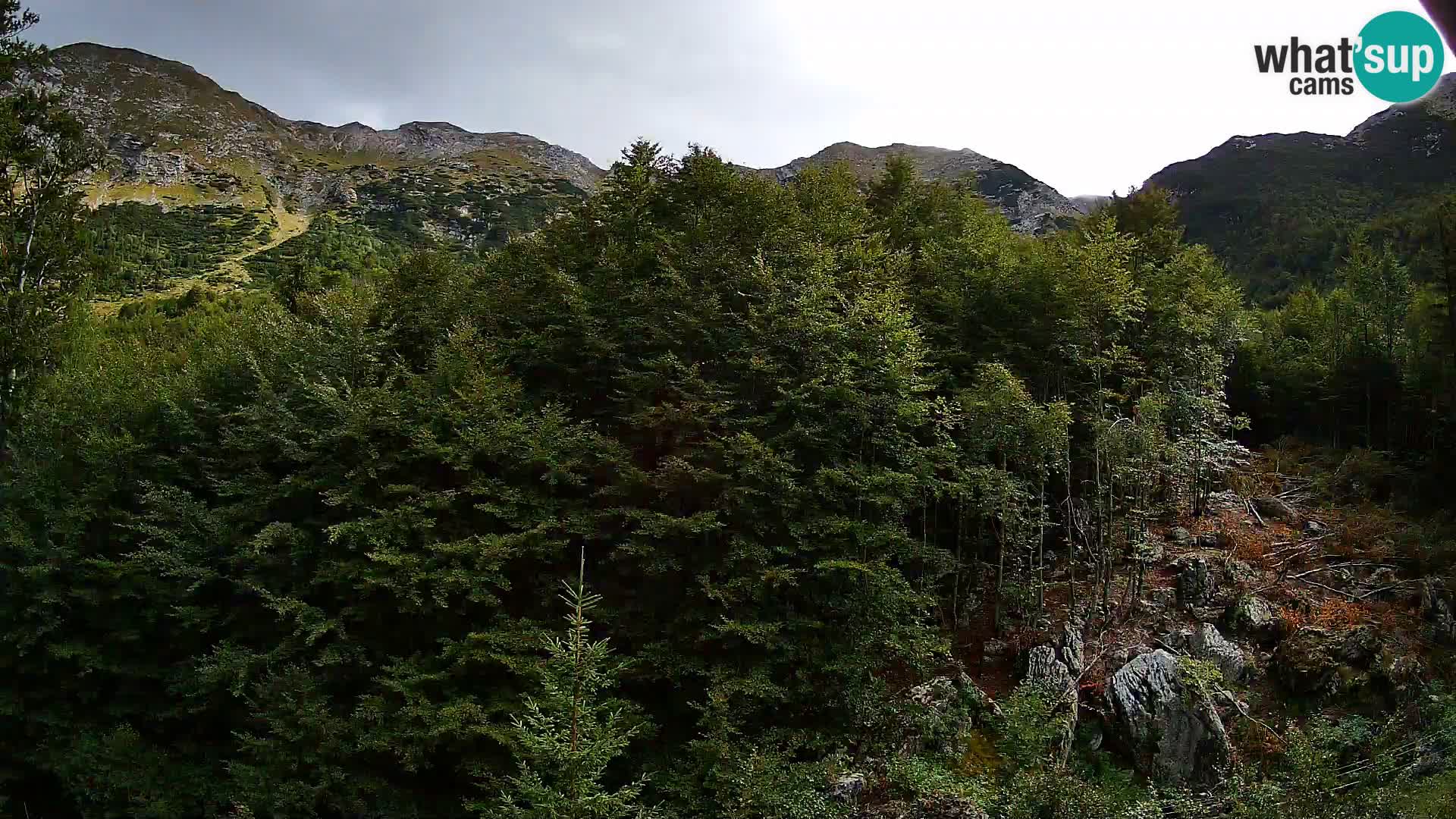 Webcam PLANINA RAZOR (1315) | Blick auf Vogel und Globoko