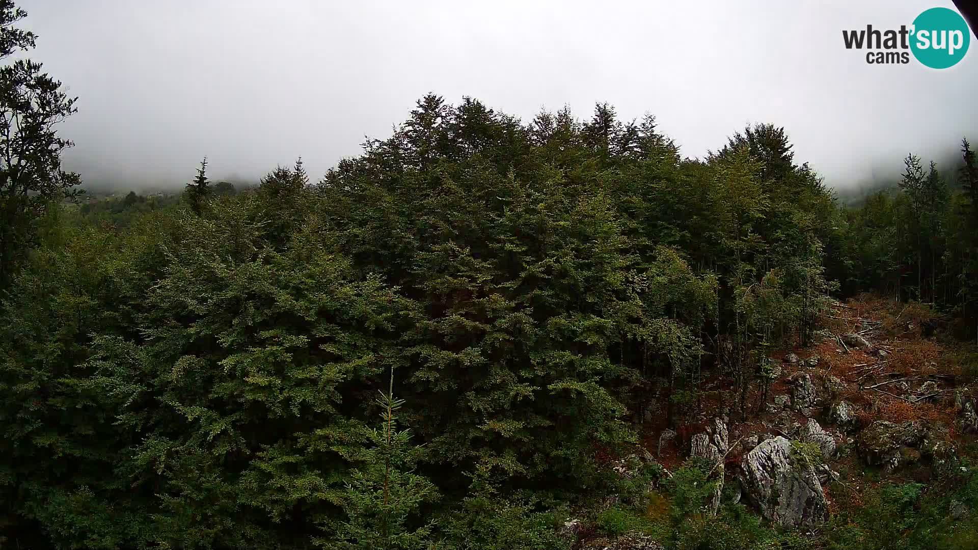 Webcam PLANINA RAZOR (1315) | Blick auf Vogel und Globoko