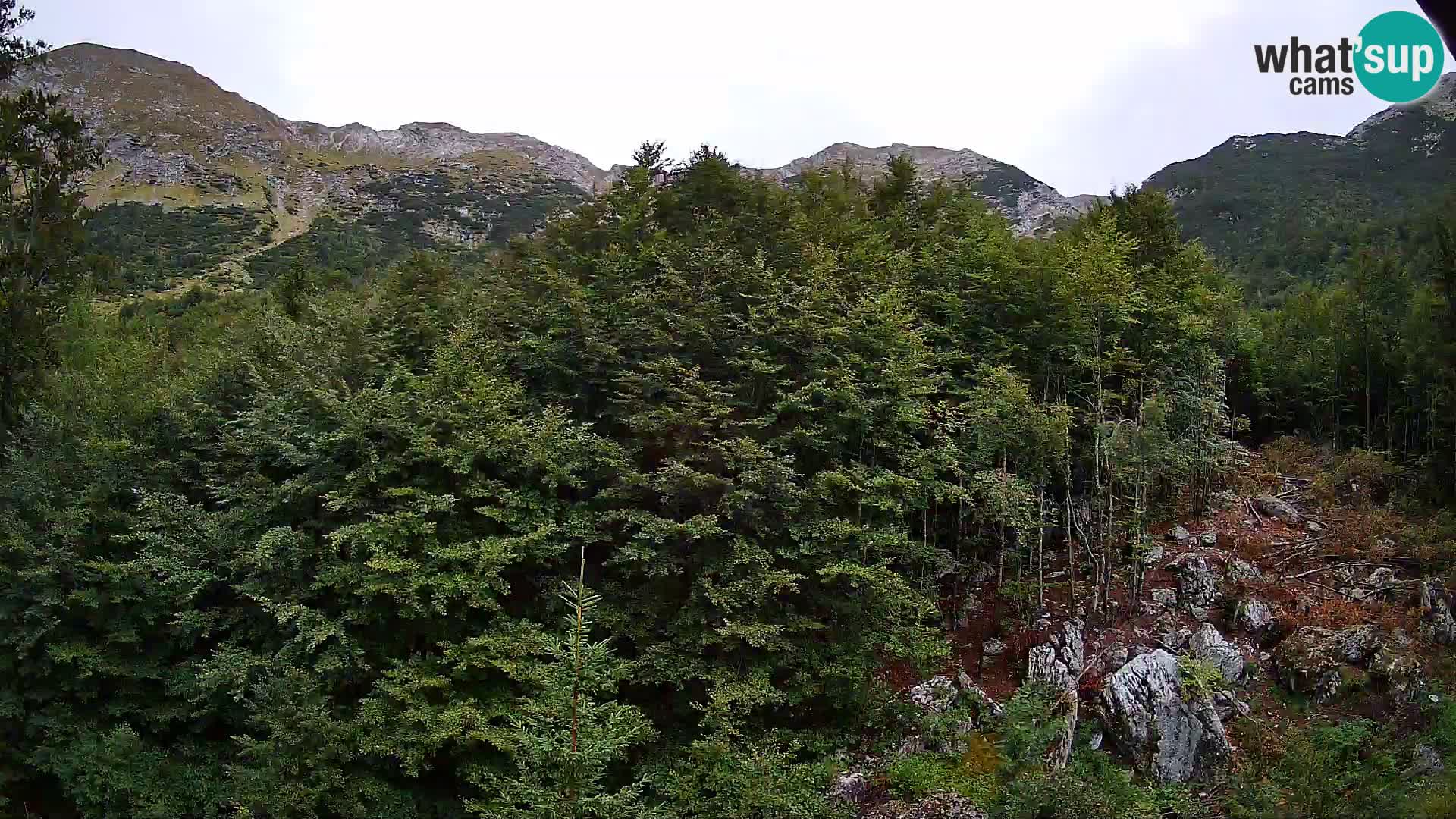 PLANINA RAZOR webcam (1315) | view to Vogel and Globoko