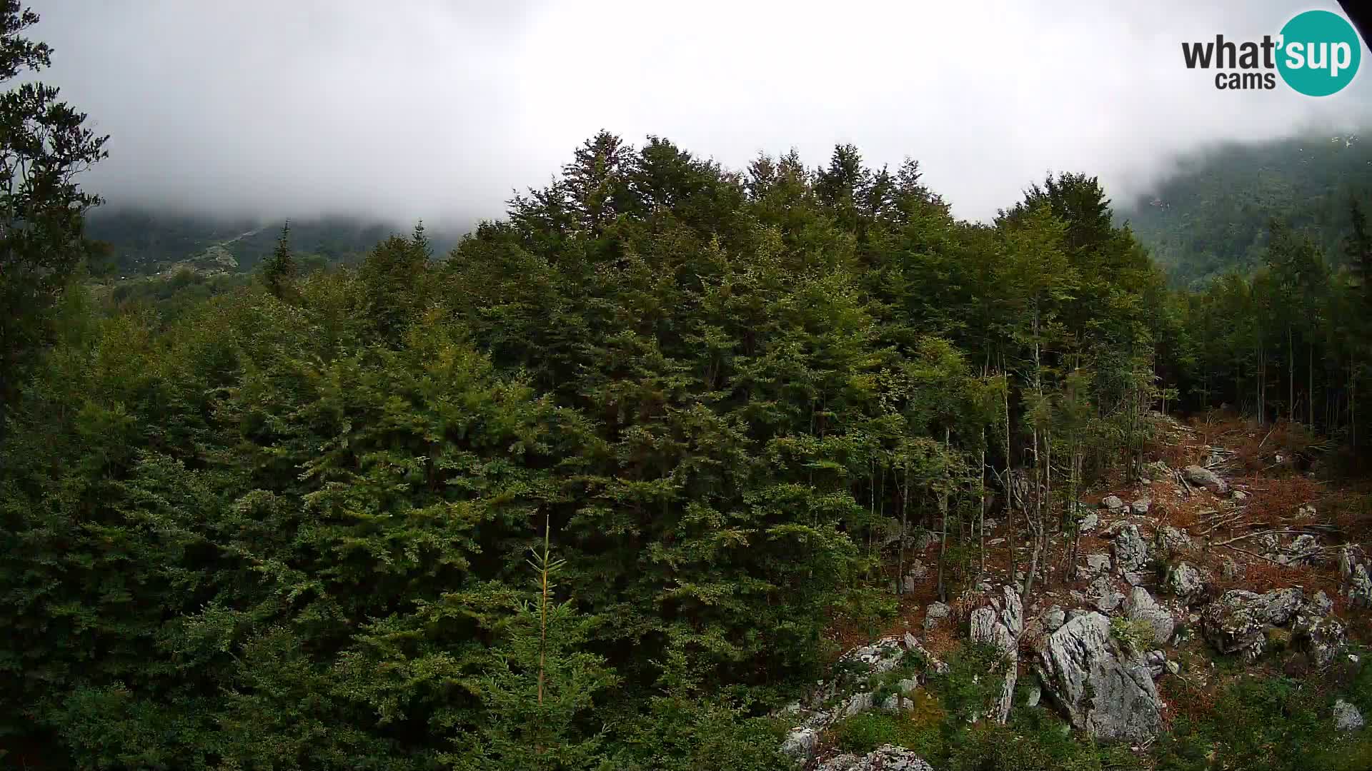 Webcam PLANINA RAZOR (1315) | Blick auf Vogel und Globoko