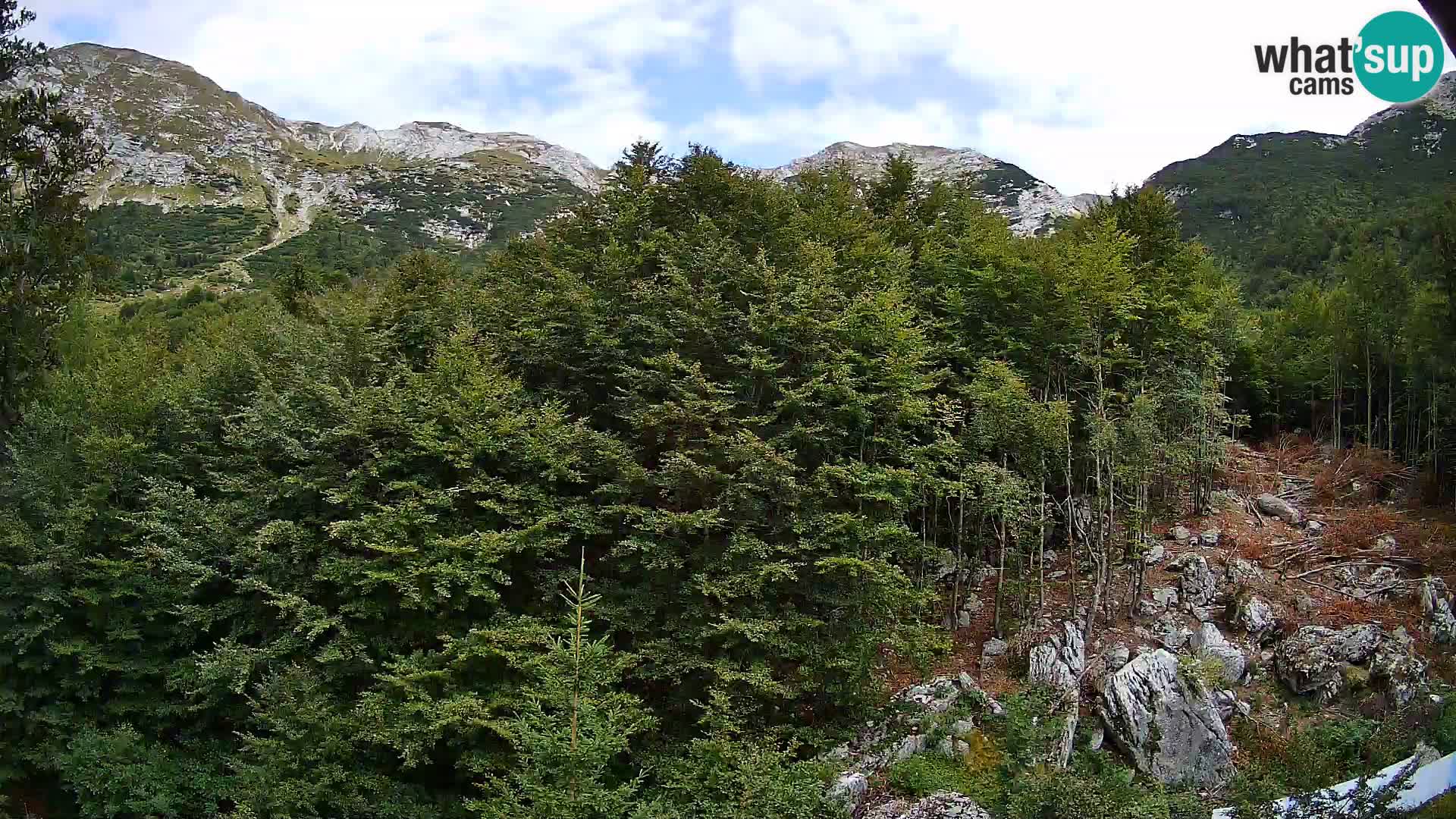 Livecam PLANINA RAZOR (1315) | vue sur Vogel et Globoko