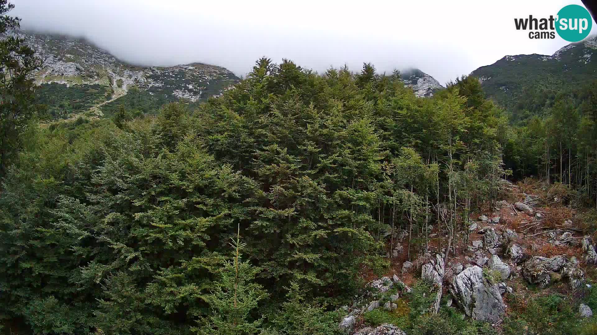 Webcam PLANINA RAZOR (1315) | Blick auf Vogel und Globoko