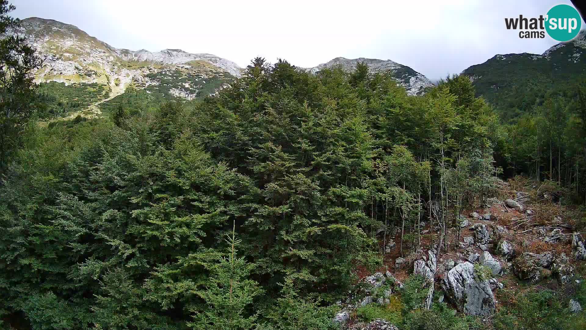 PLANINA RAZOR Live Cam (1315) | vista su Vogel e Globoko
