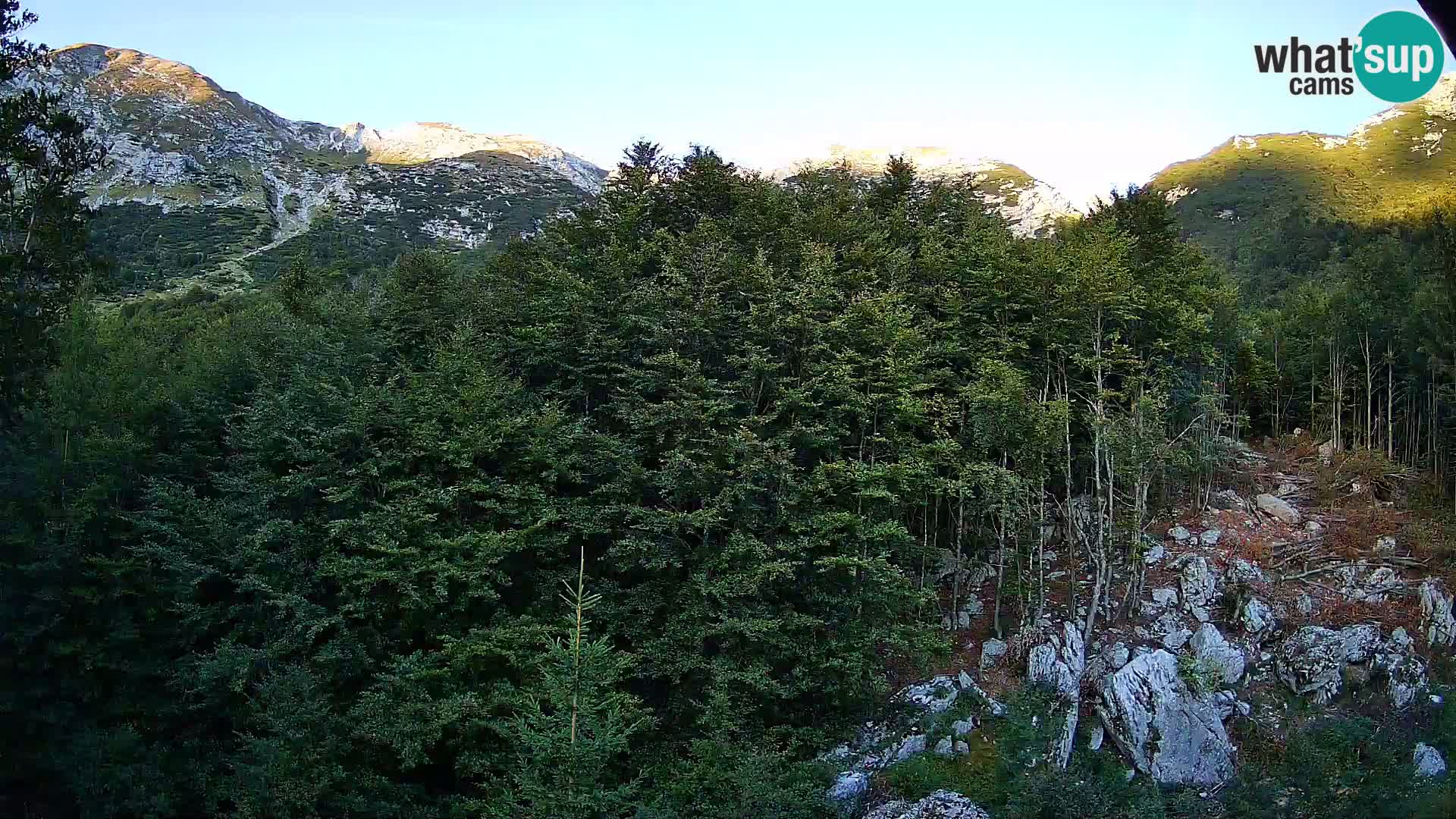 Webcam PLANINA RAZOR (1315) | Blick auf Vogel und Globoko