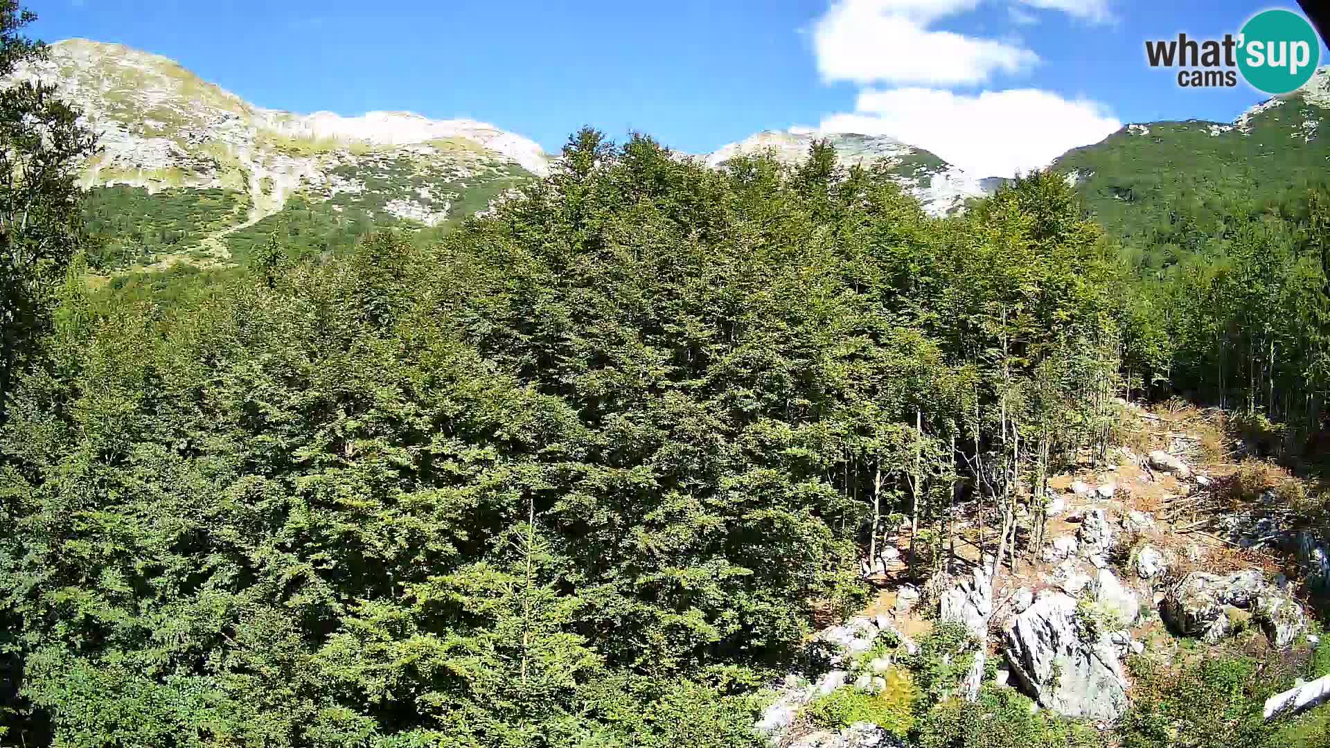 Cámara web PLANINA RAZOR (1315) | vista a Vogel y Globoko