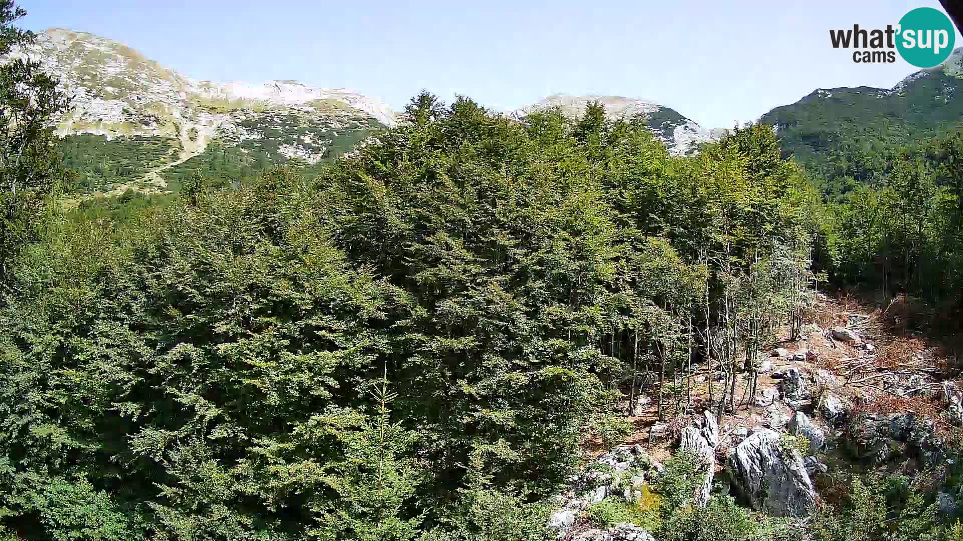 Livecam PLANINA RAZOR (1315) | vue sur Vogel et Globoko