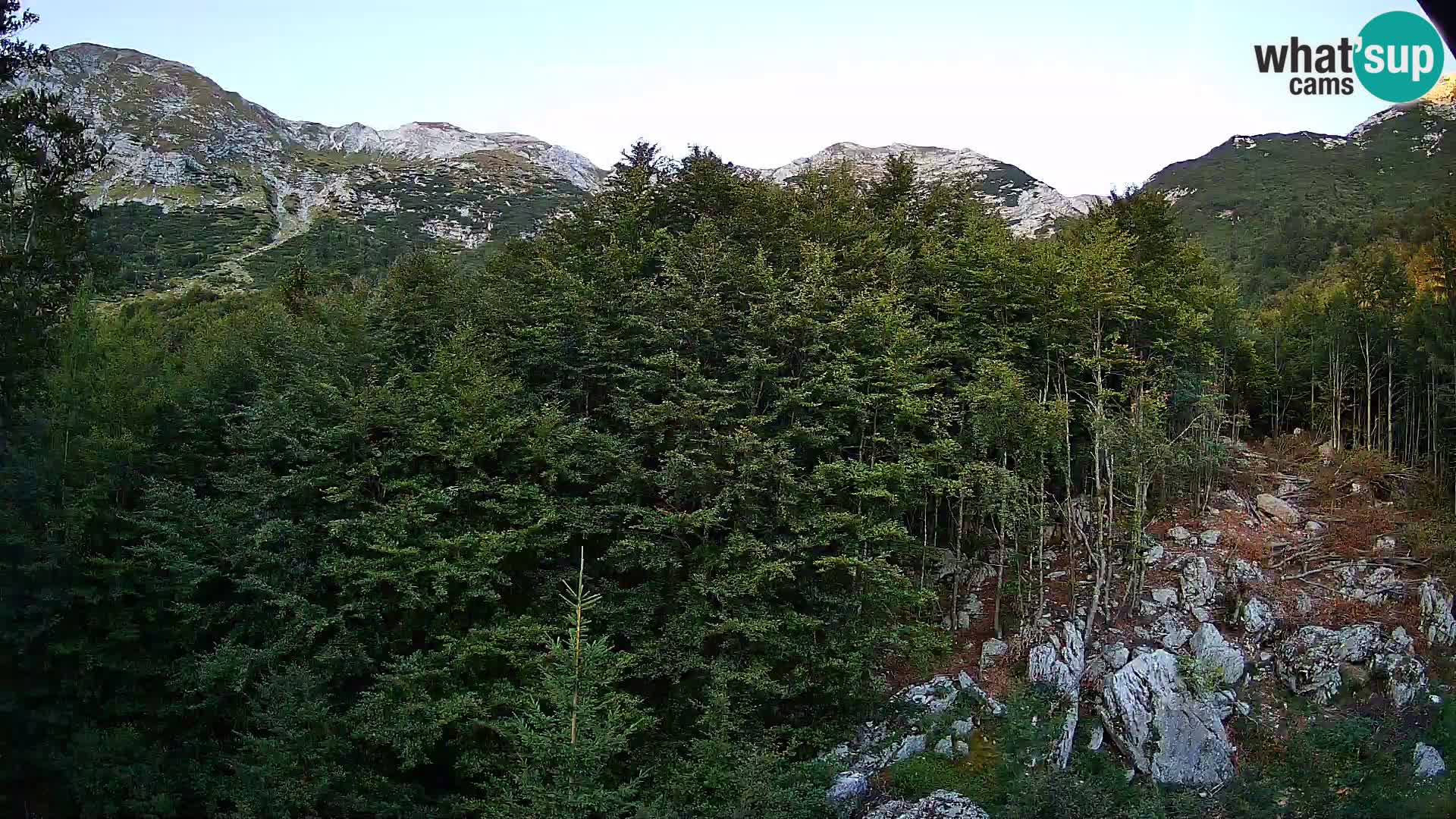 PLANINA RAZOR Live Cam (1315) | vista su Vogel e Globoko
