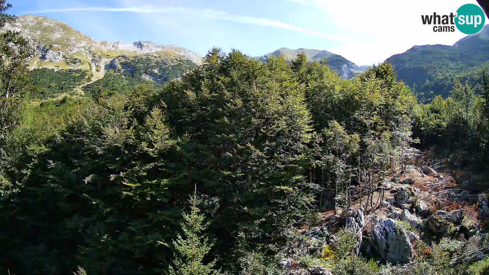 Webcam PLANINA RAZOR (1315) | Blick auf Vogel und Globoko