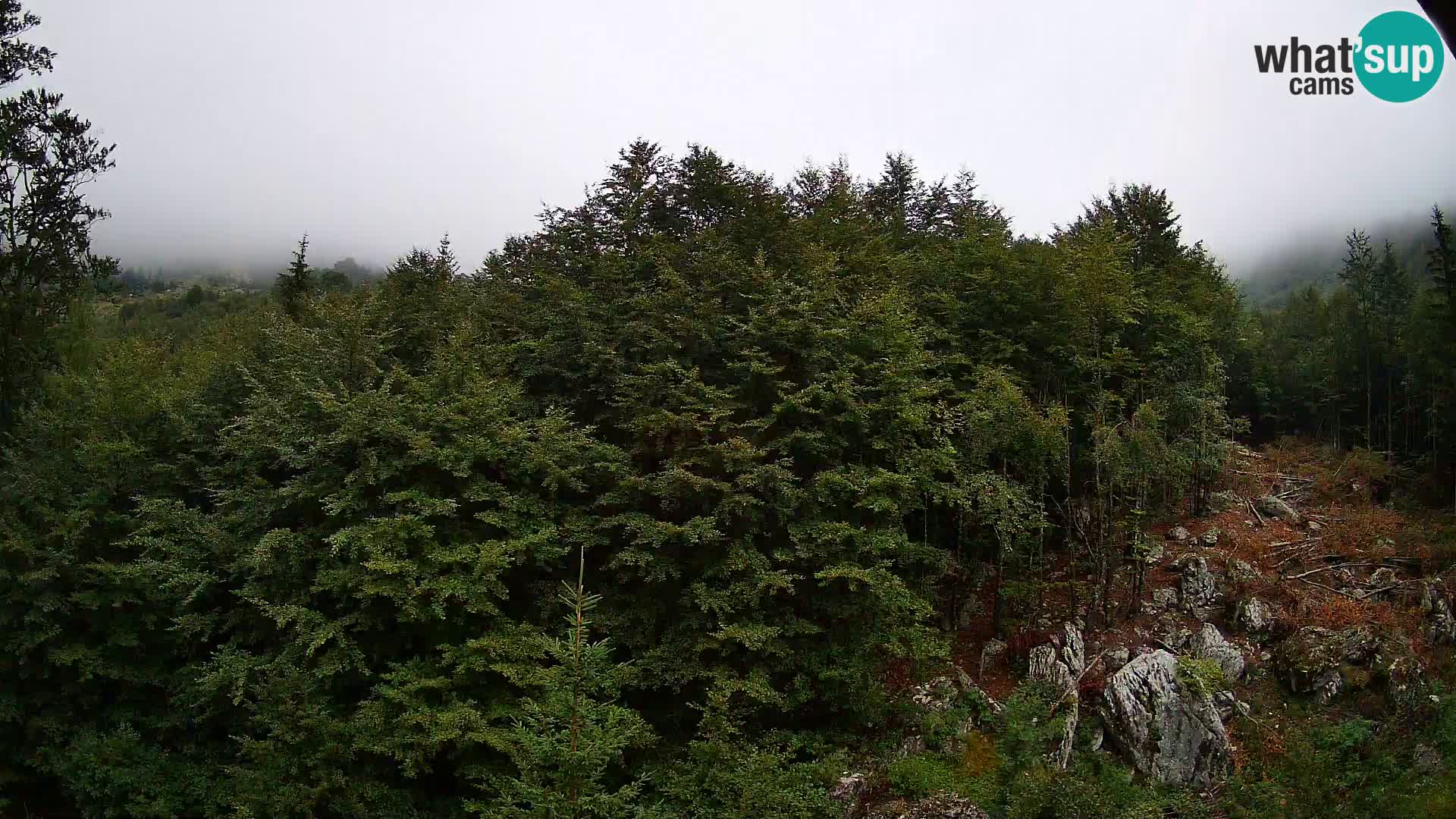 PLANINA RAZOR Live Cam (1315) | vista su Vogel e Globoko