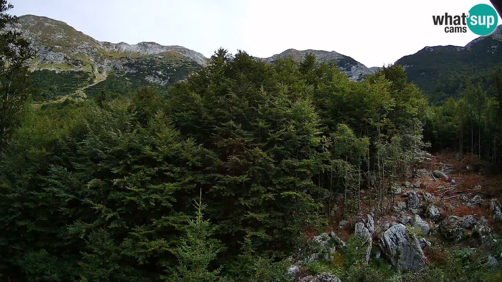 Webcam PLANINA RAZOR (1315) | Blick auf Vogel und Globoko