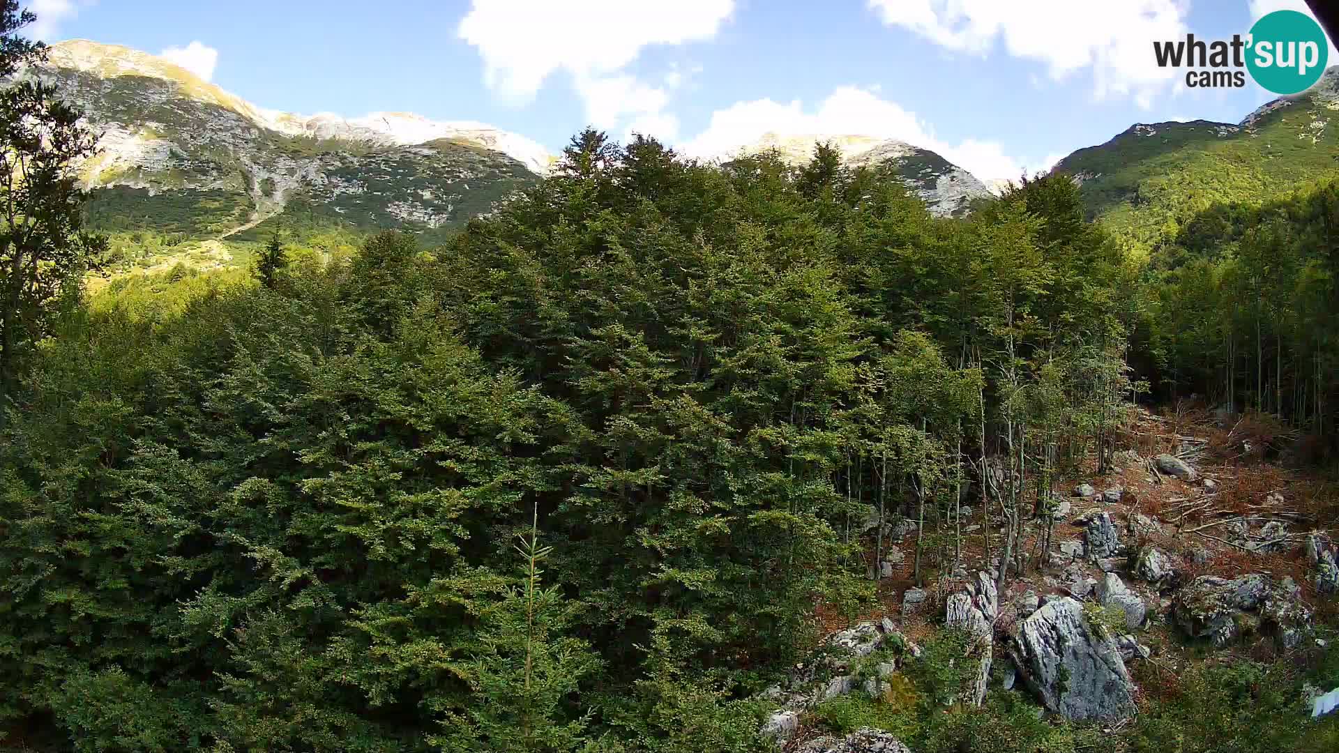 Livecam PLANINA RAZOR (1315) | vue sur Vogel et Globoko