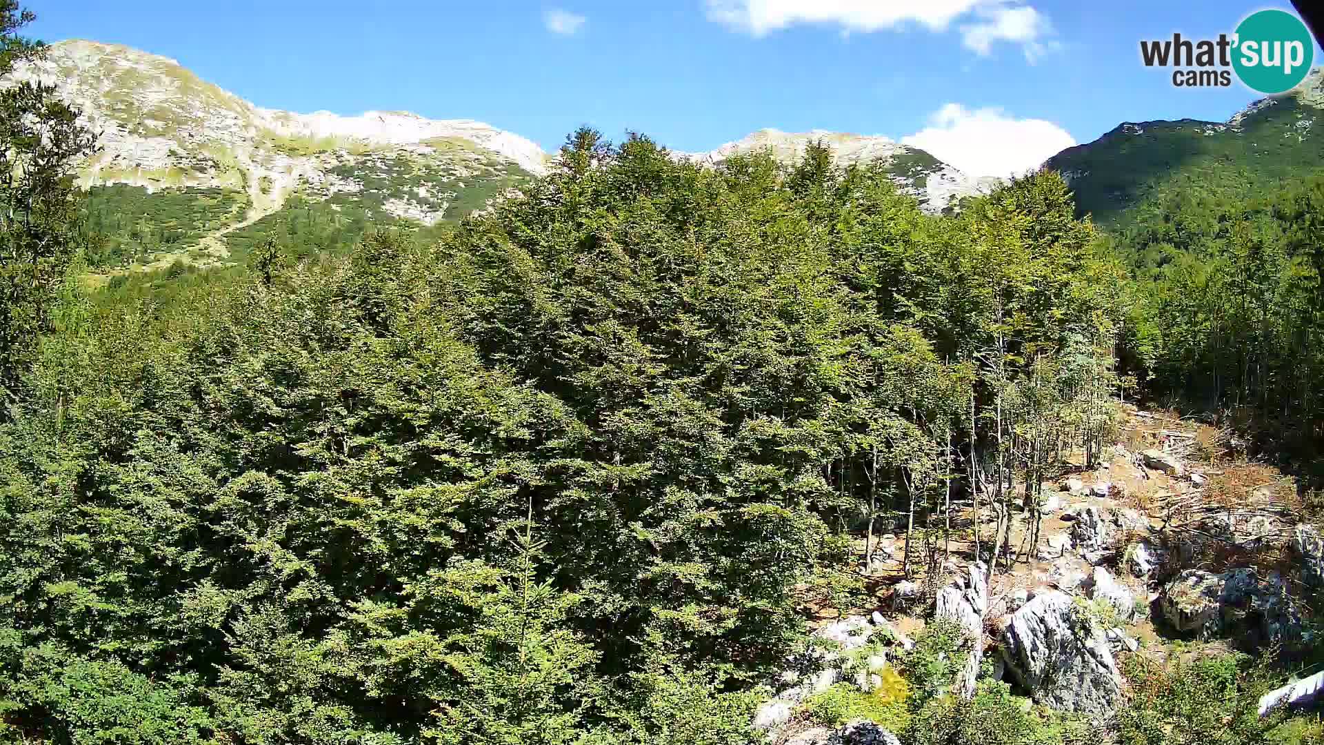 Livecam PLANINA RAZOR (1315) | vue sur Vogel et Globoko