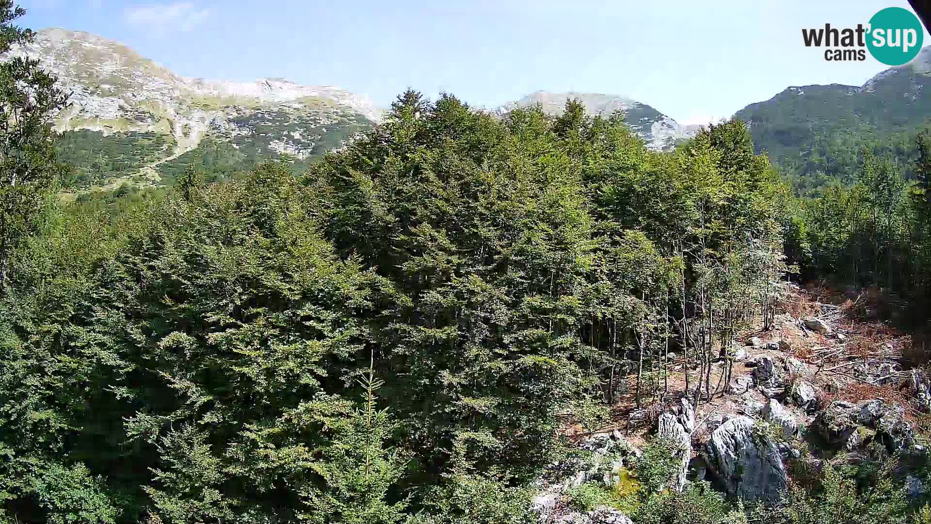 Webcam PLANINA RAZOR (1315) | Blick auf Vogel und Globoko