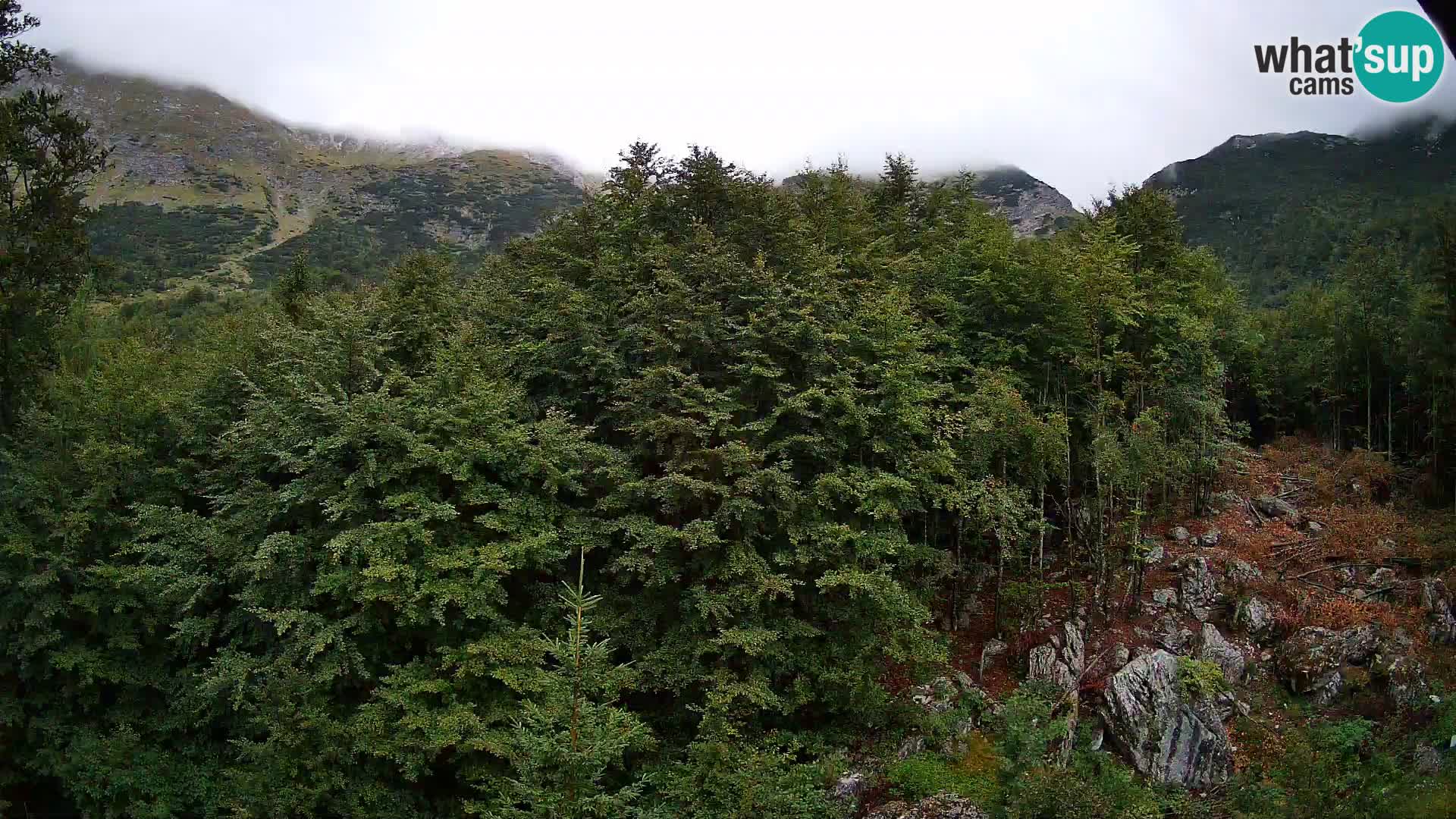 PLANINA RAZOR webcam (1315) | view to Vogel and Globoko