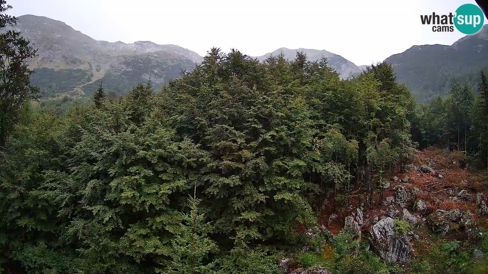 PLANINA RAZOR webcam (1315) | view to Vogel and Globoko