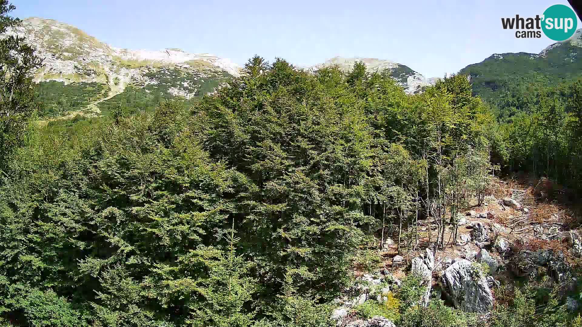 Webcam PLANINA RAZOR (1315) | Blick auf Vogel und Globoko