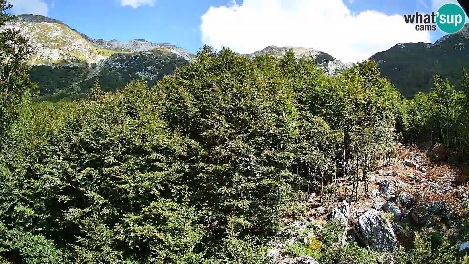 Webcam PLANINA RAZOR (1315) | Blick auf Vogel und Globoko