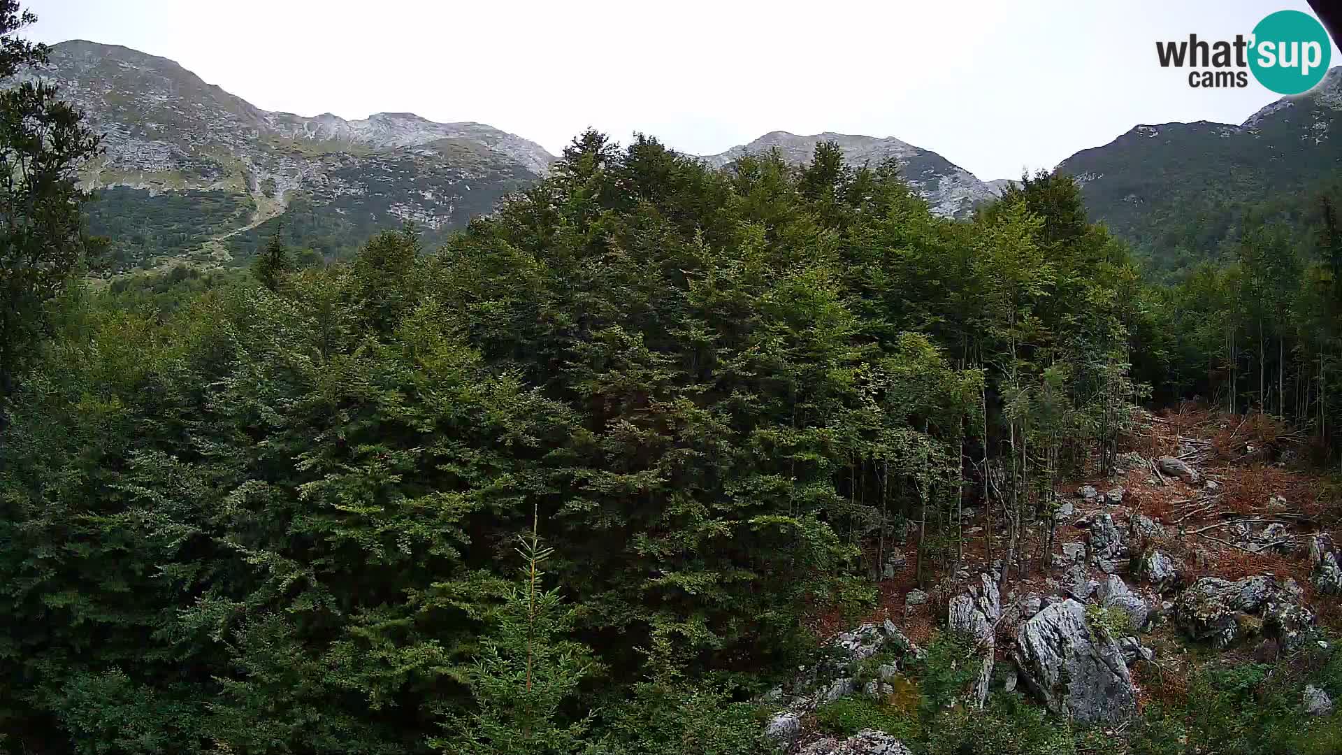 Webcam PLANINA RAZOR (1315) | Blick auf Vogel und Globoko