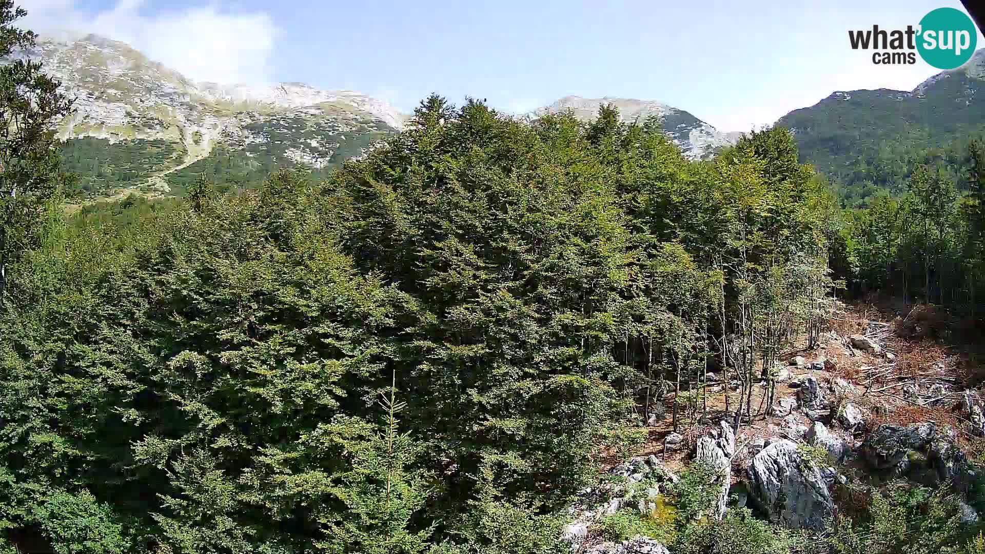 Livecam PLANINA RAZOR (1315) | vue sur Vogel et Globoko