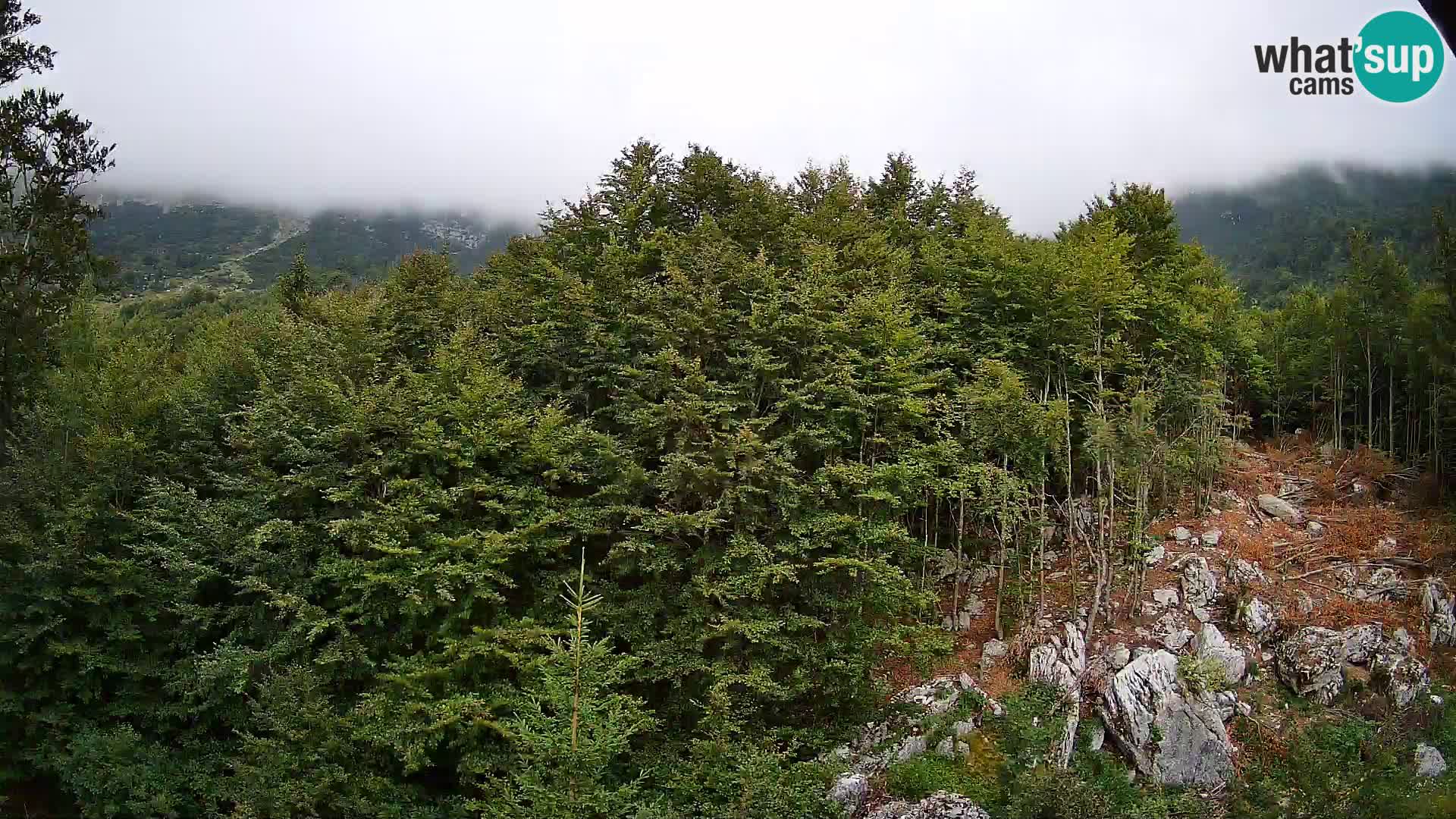 Livecam PLANINA RAZOR (1315) | vue sur Vogel et Globoko